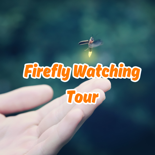 Puerto Princesa Firefly Watching Joiners Tour