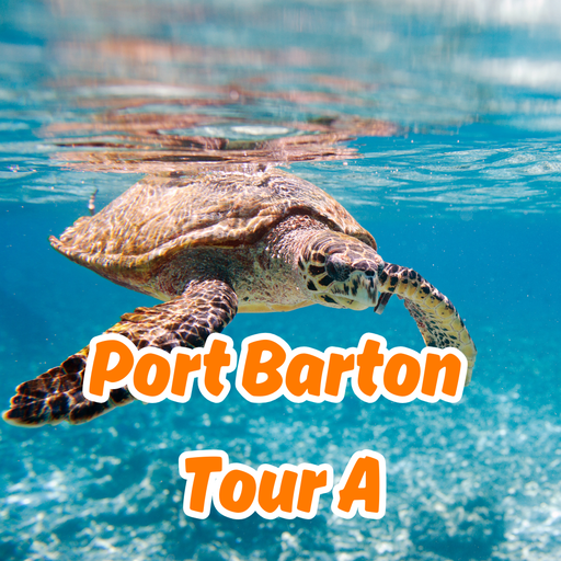 Port Barton Island Tour A Joiners Tour