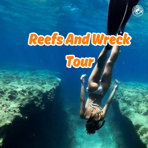 Coron Reefs And Wreck Joiners Tour