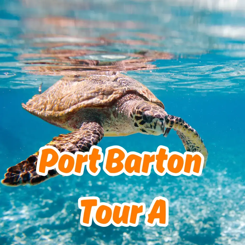 Port Barton Island Tour A - Joiners